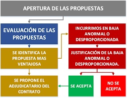 Justificación de temeridad